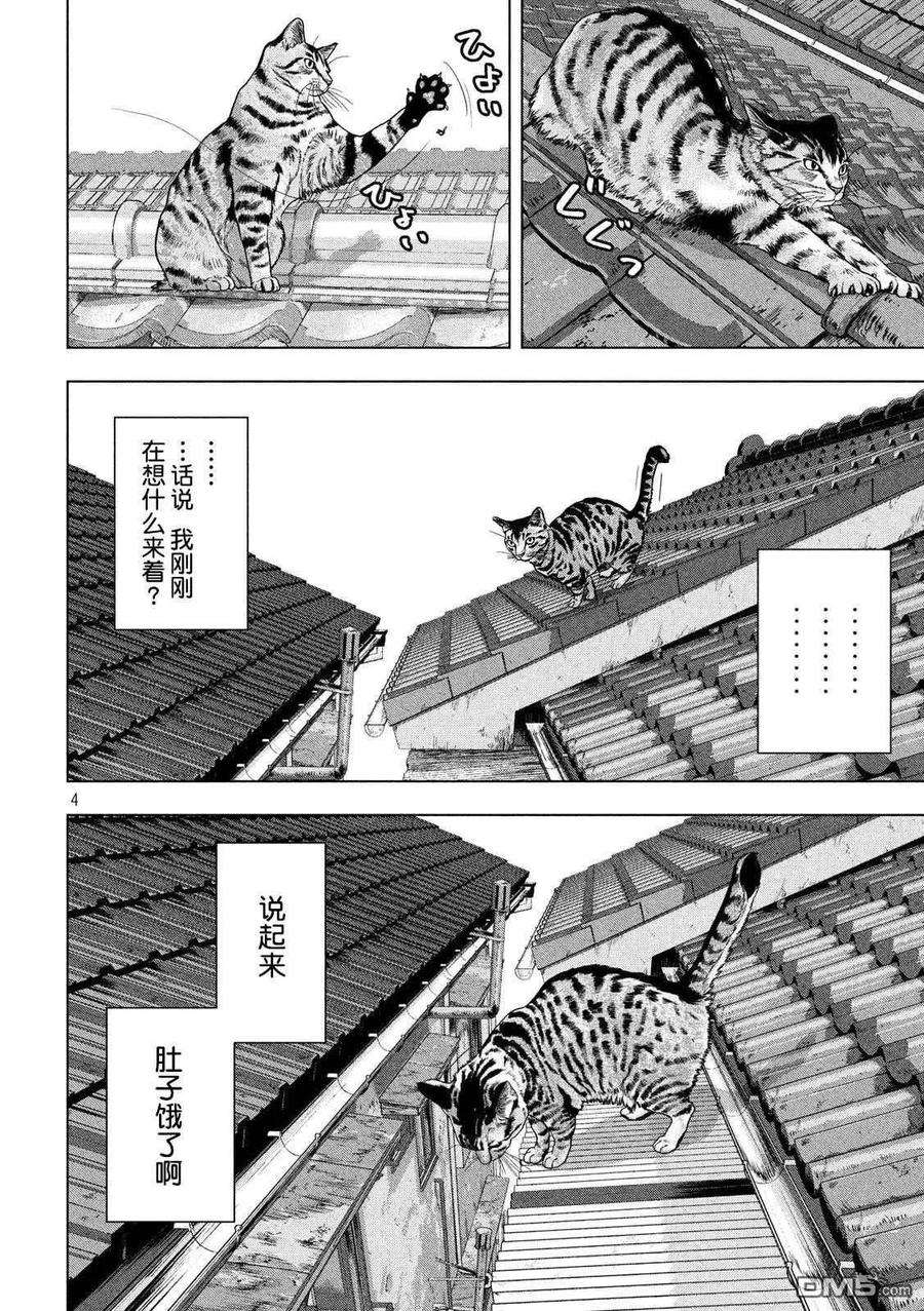 地下忍者41话 吾辈居然是猫？