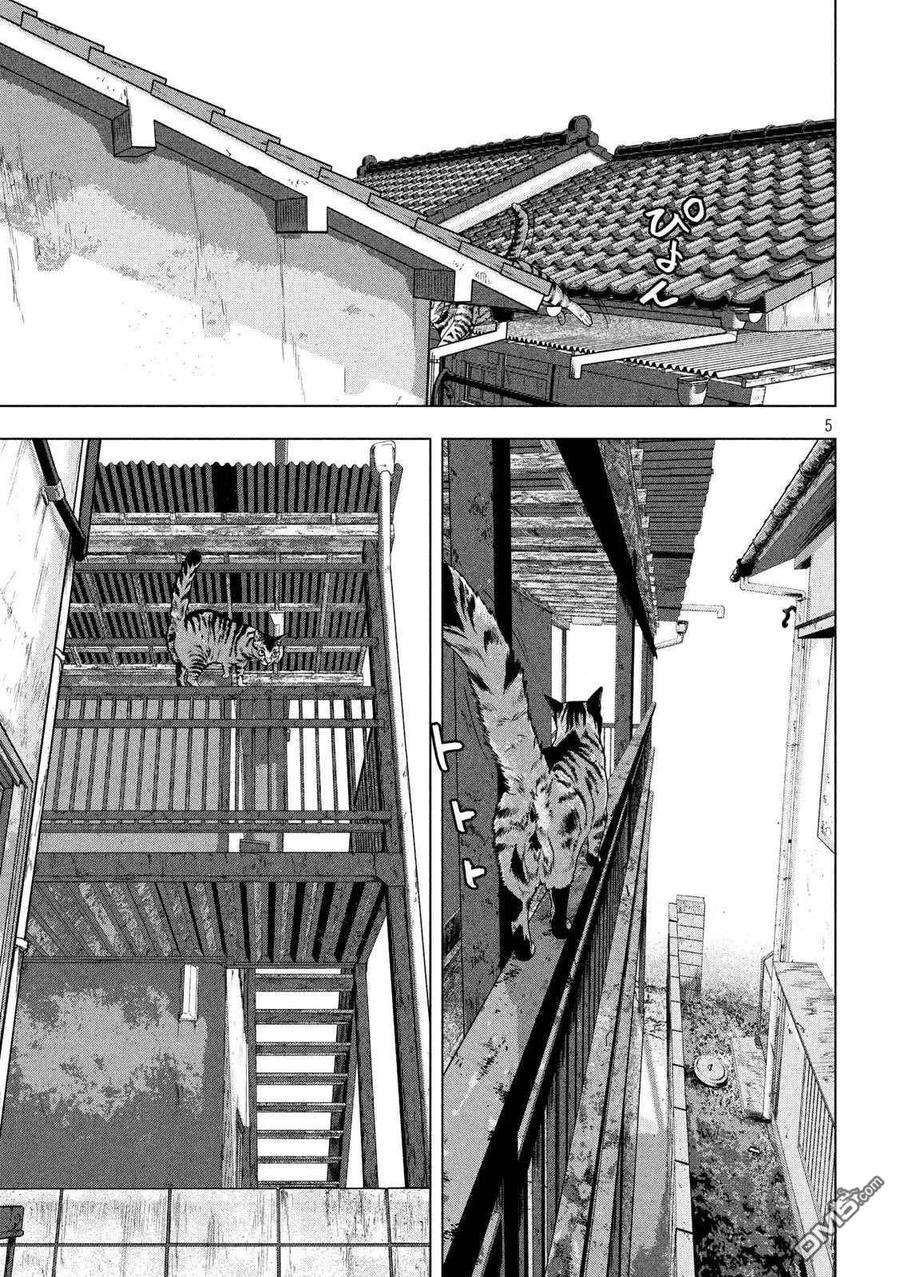 地下忍者41话 吾辈居然是猫？
