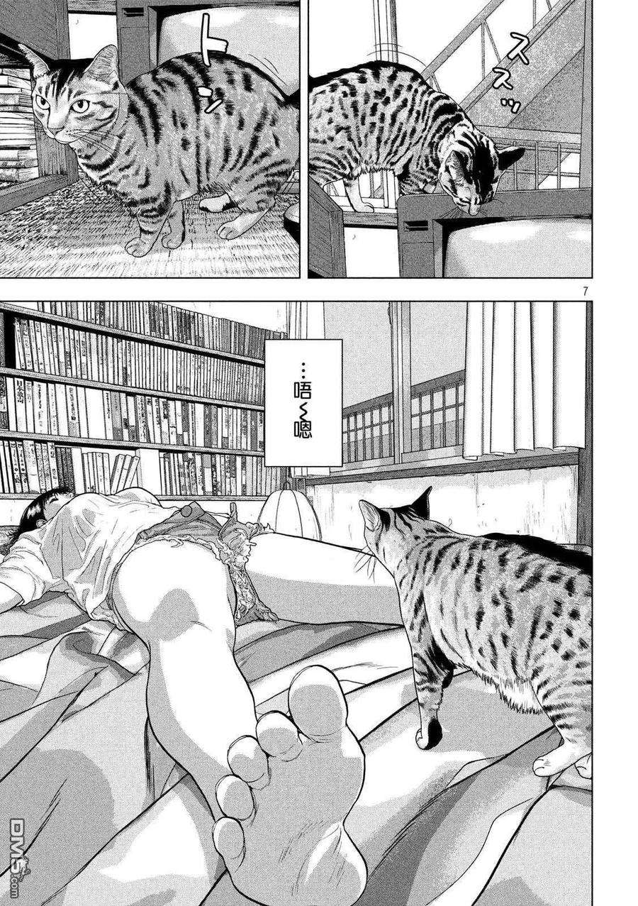 地下忍者41话 吾辈居然是猫？