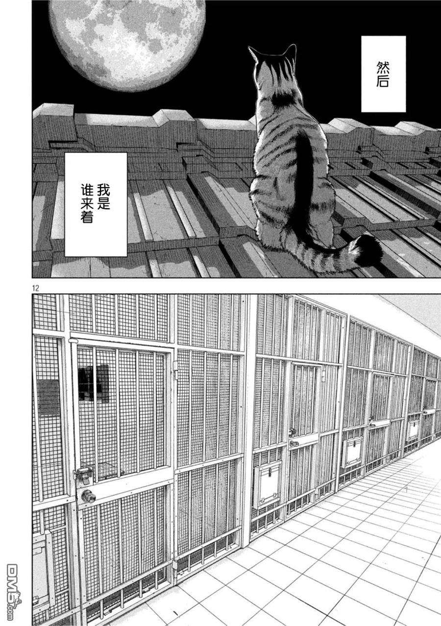 地下忍者76话 猫平的报恩