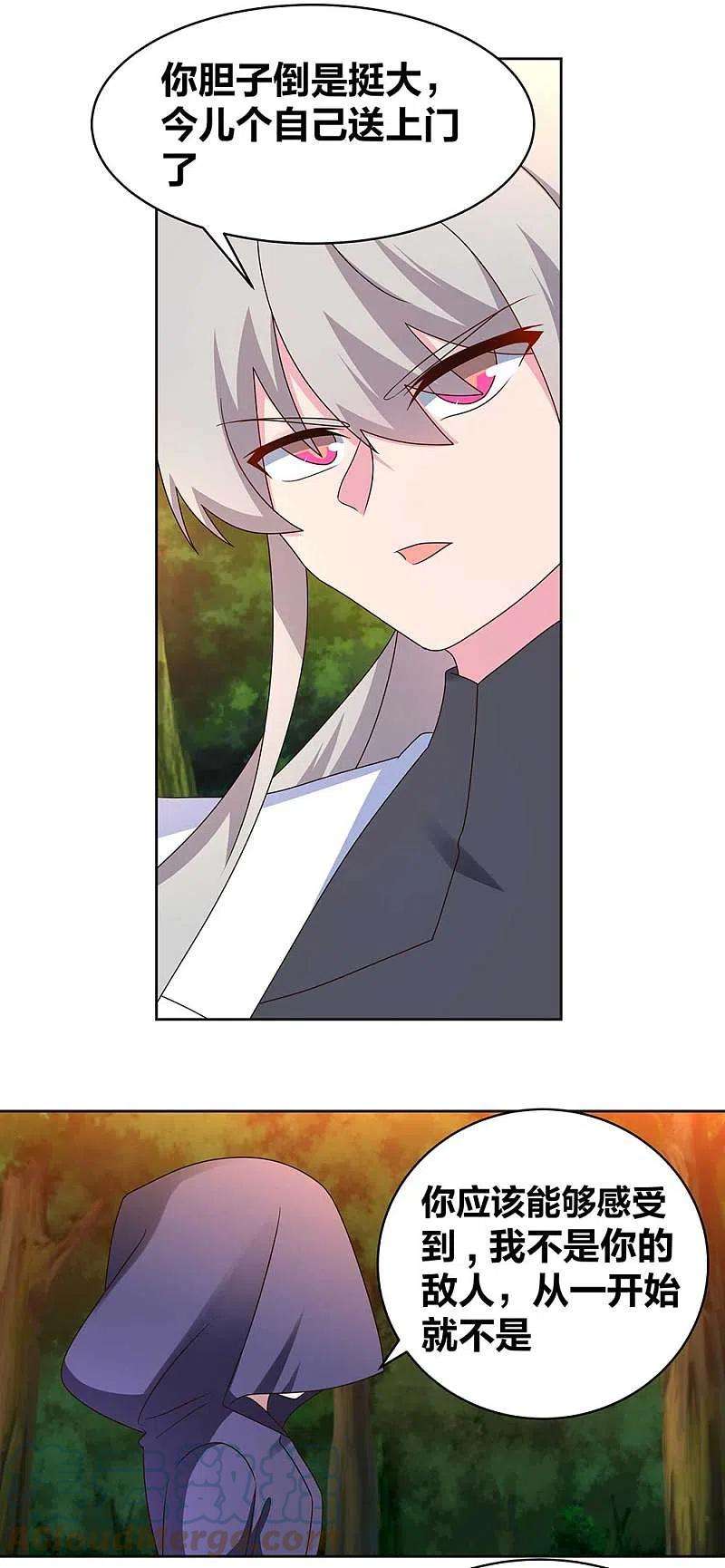 尊上246话 寂灭忘我图