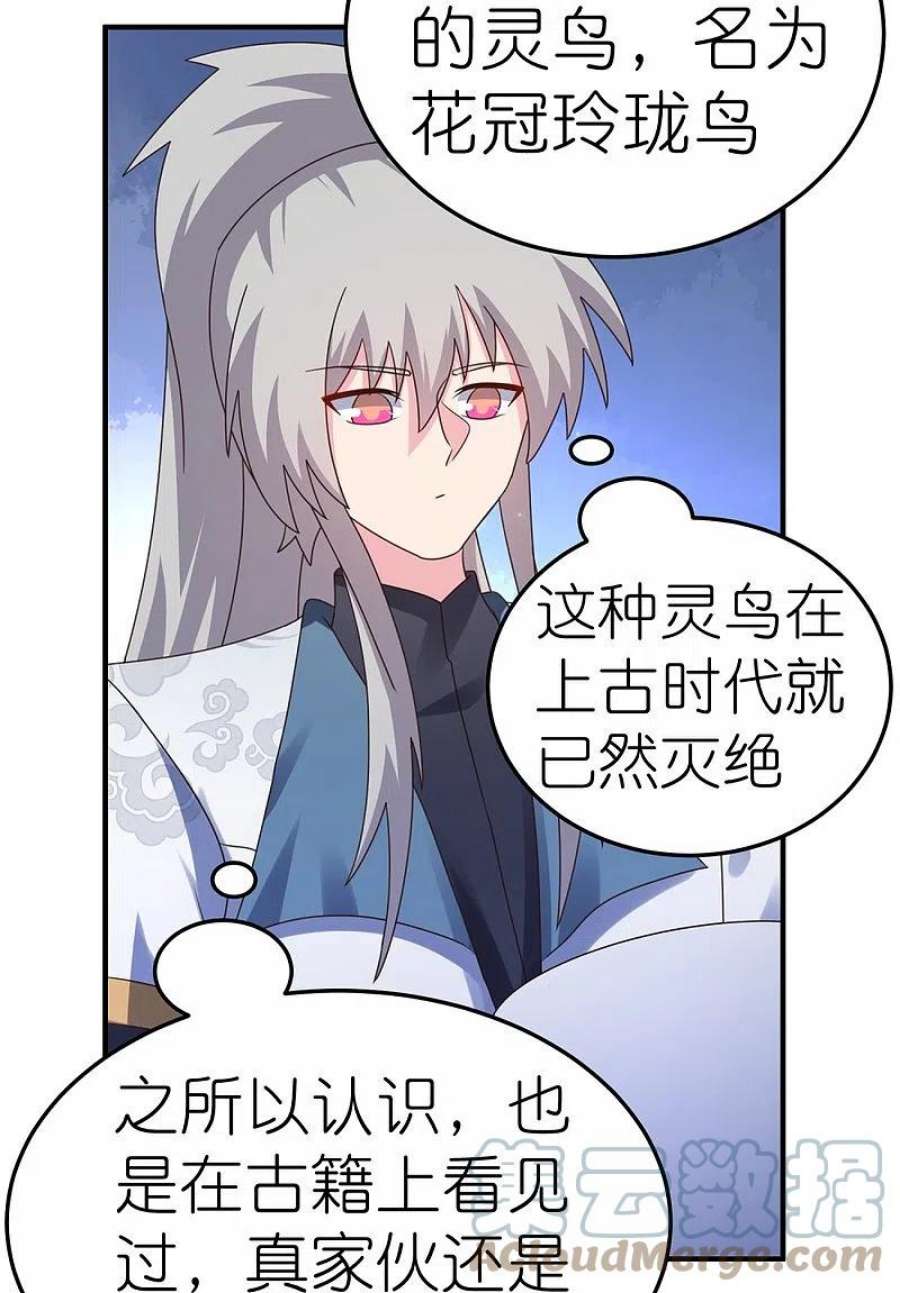 尊上362话 电云分舵