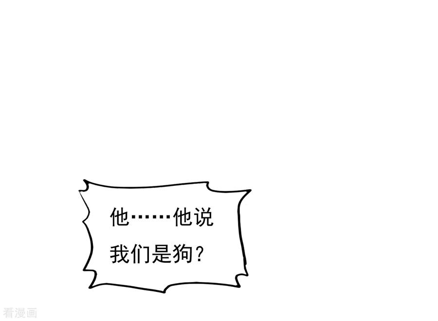 极品败家子15话 泡妞高手