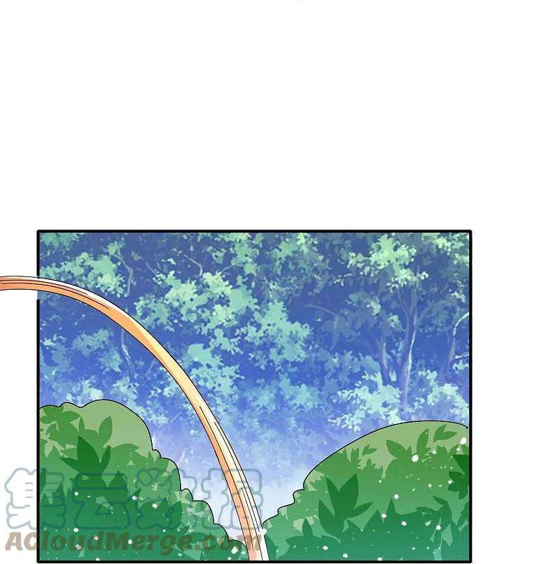 极品败家子308话 特种作战