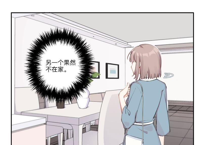 恶女陷阱6话 诈欺师的职业习惯