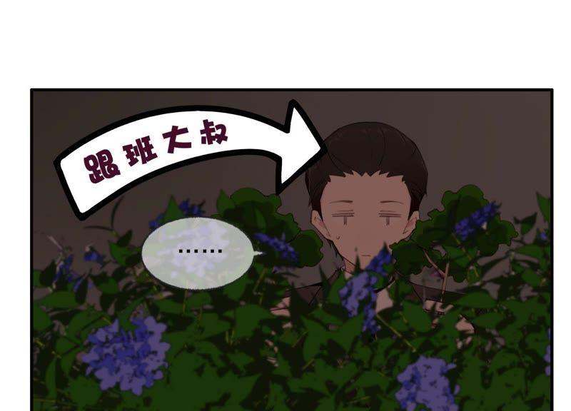 恶女陷阱32话 终于有总裁要养我了？