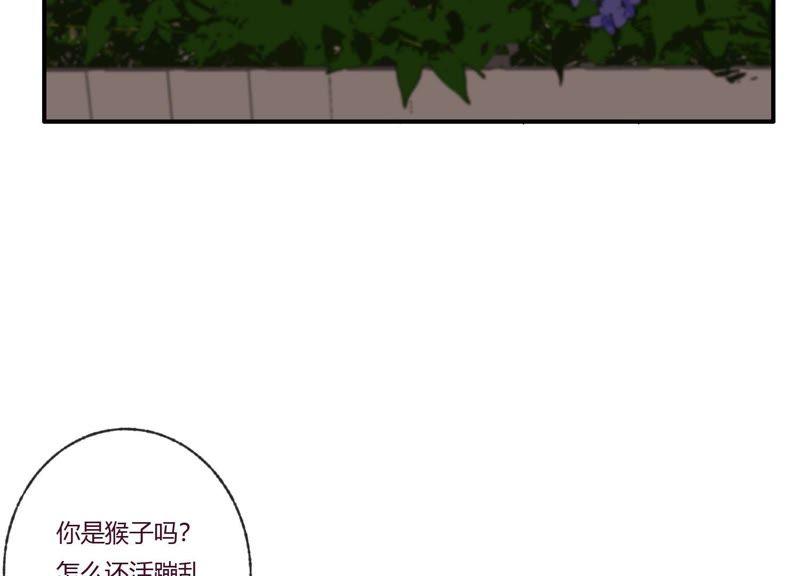 恶女陷阱32话 终于有总裁要养我了？