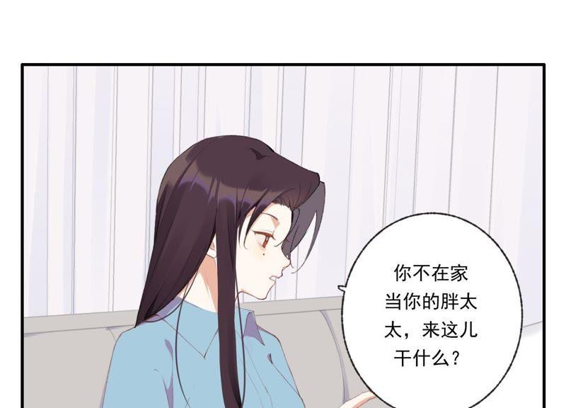 恶女陷阱44话 毁了这个家