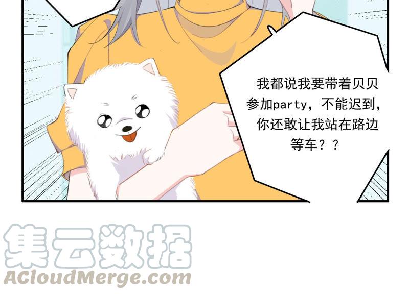 恶女陷阱47话 潜入程歌身边