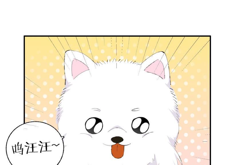 恶女陷阱48话 最强女主唱