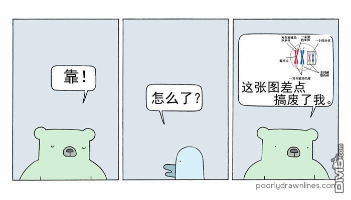 Poorly Drawn Lines第5话