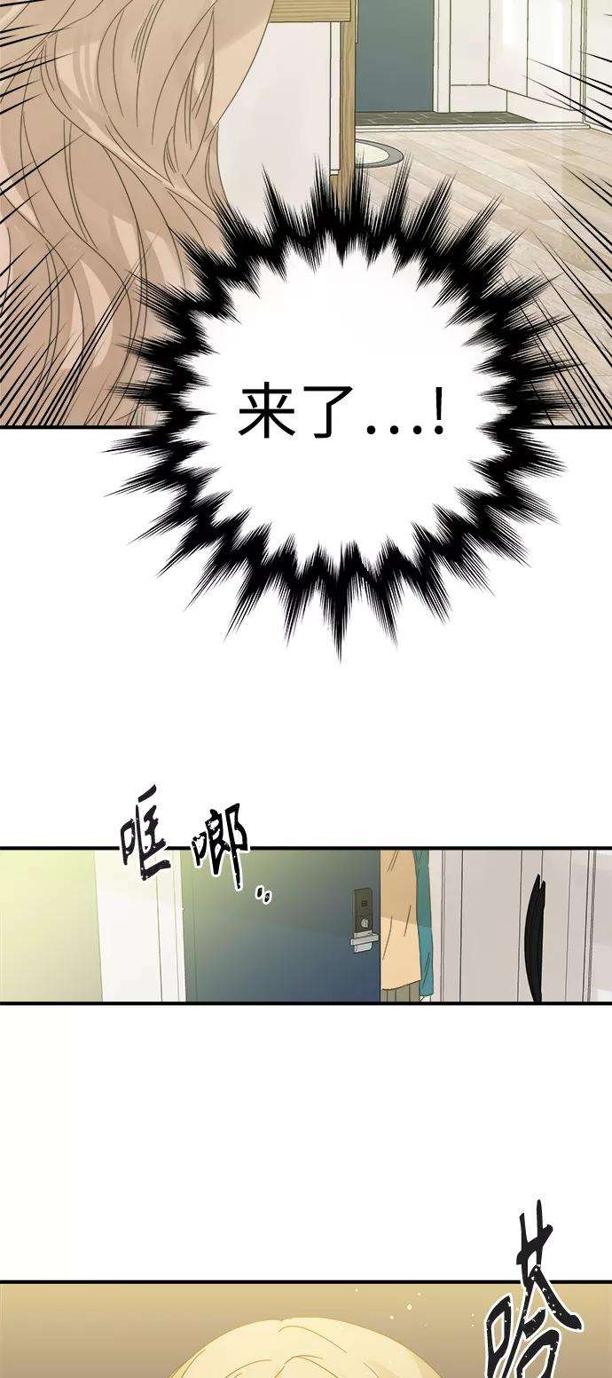 被诅咒的国民少女100话