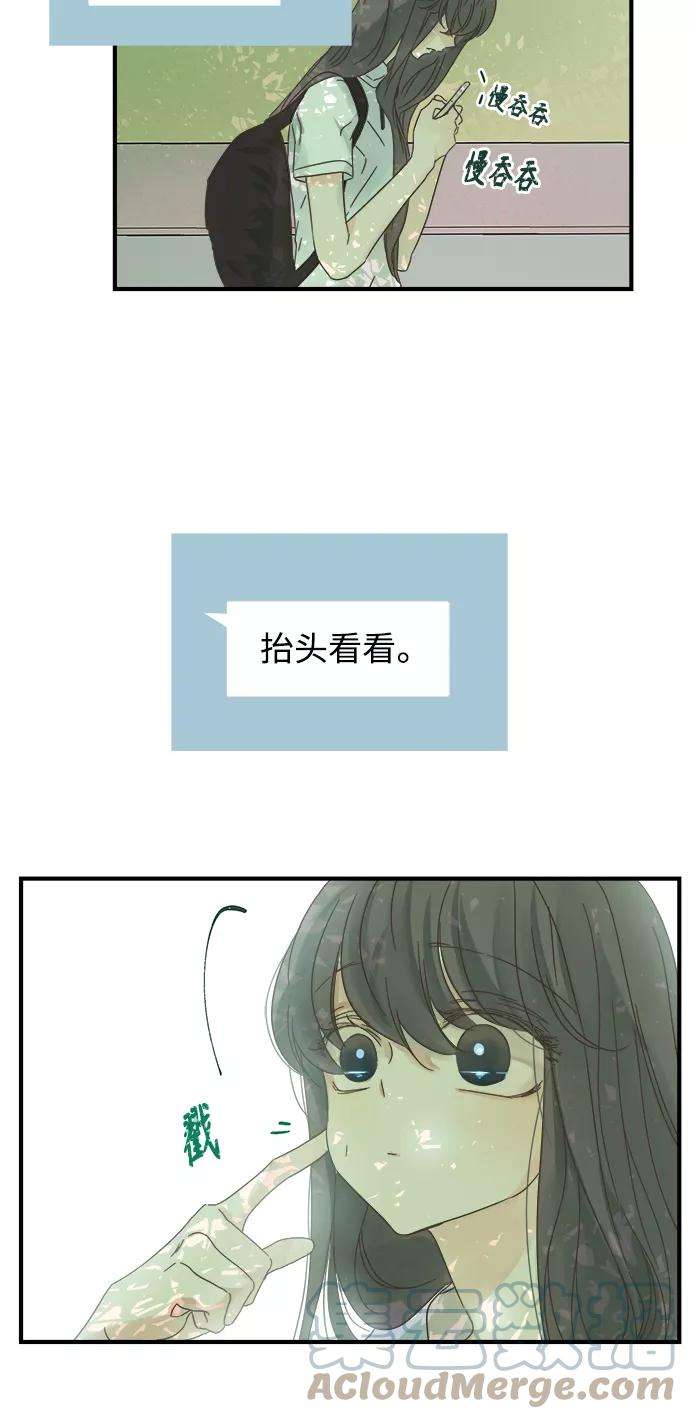 被诅咒的国民少女111话