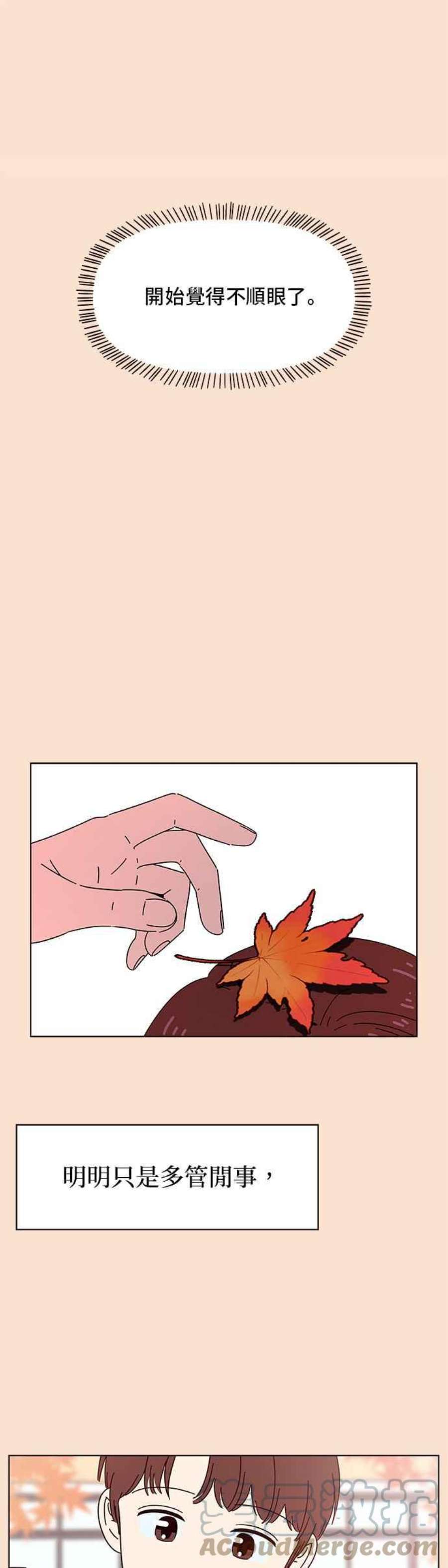 恋爱的季节第88话 秋之花（28）