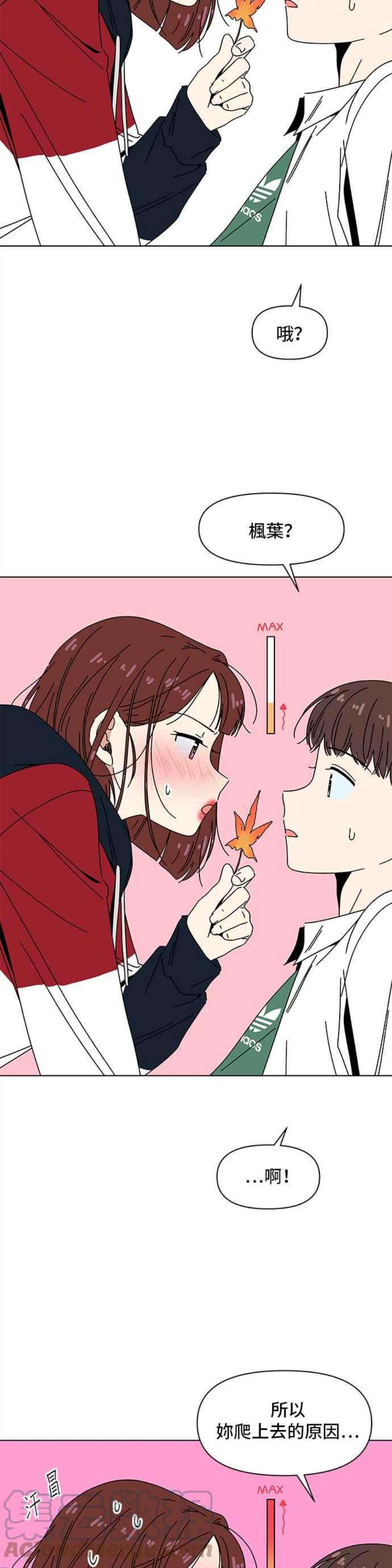恋爱的季节第90话 秋之花（30）