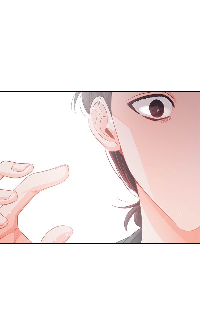 我的人气肯定出现了问题62 复仇