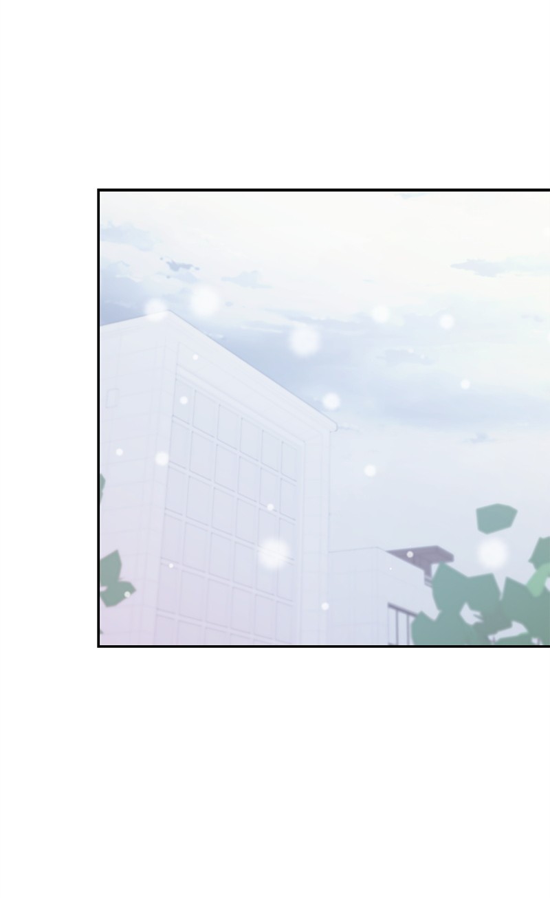 我的人气肯定出现了问题71 迎来假期