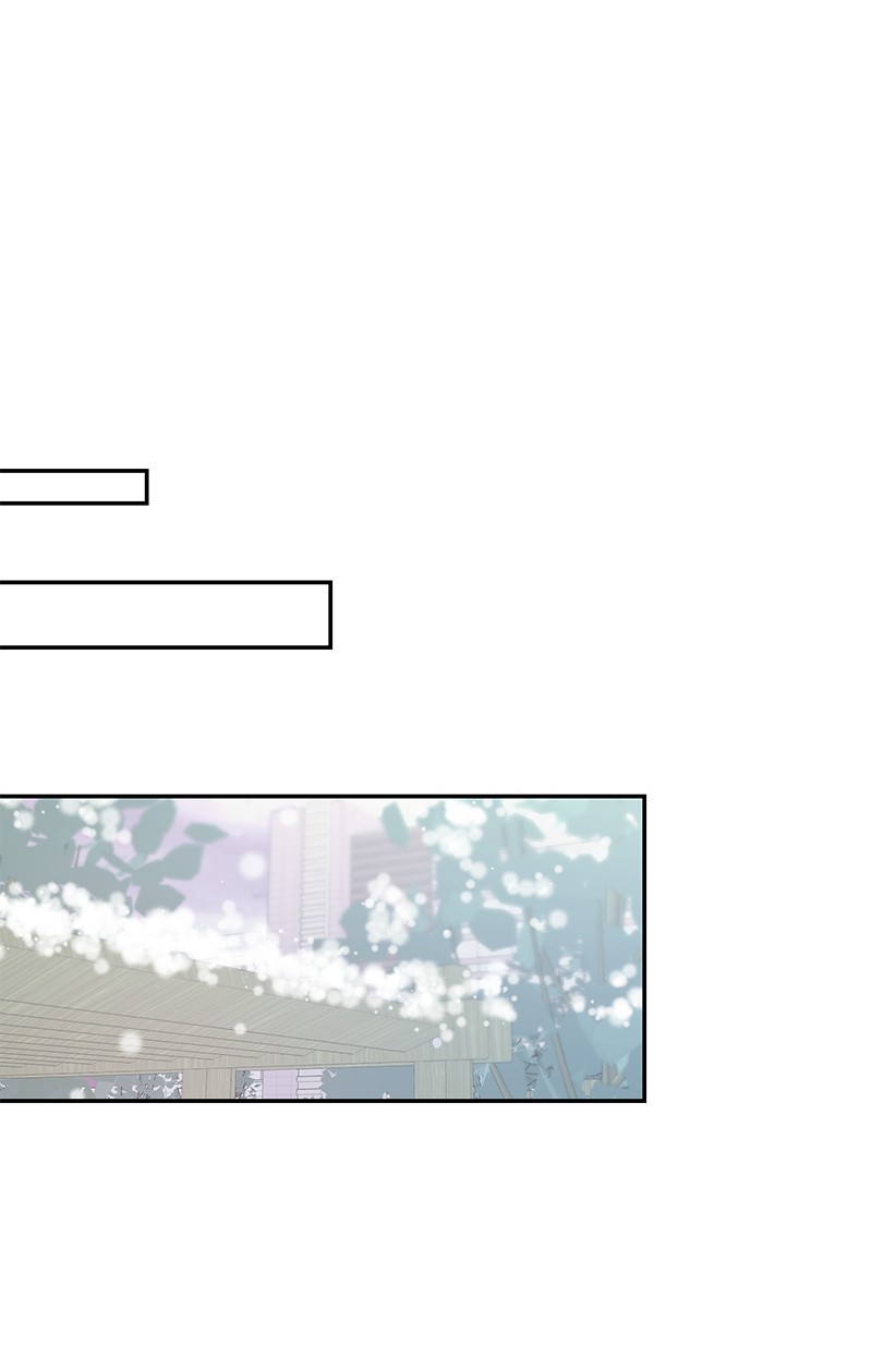 我的人气肯定出现了问题71 迎来假期