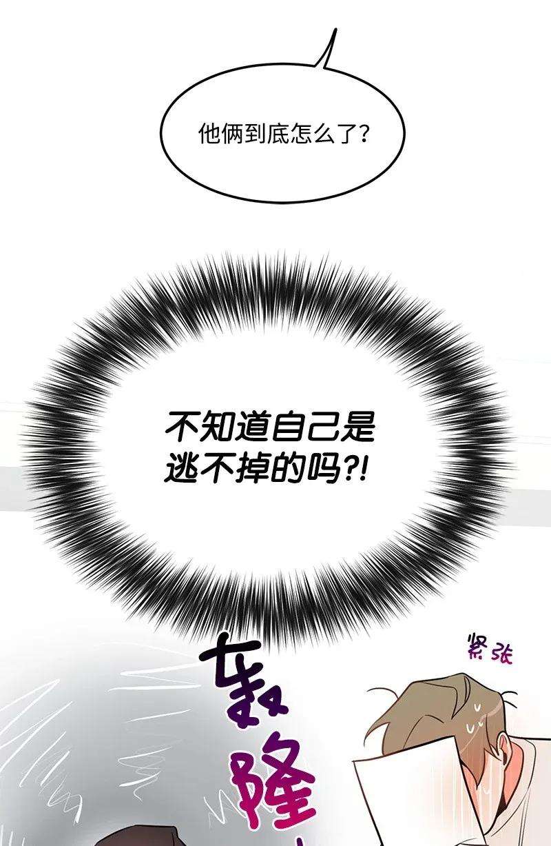 我的人气肯定出现了问题11 李瑾睿