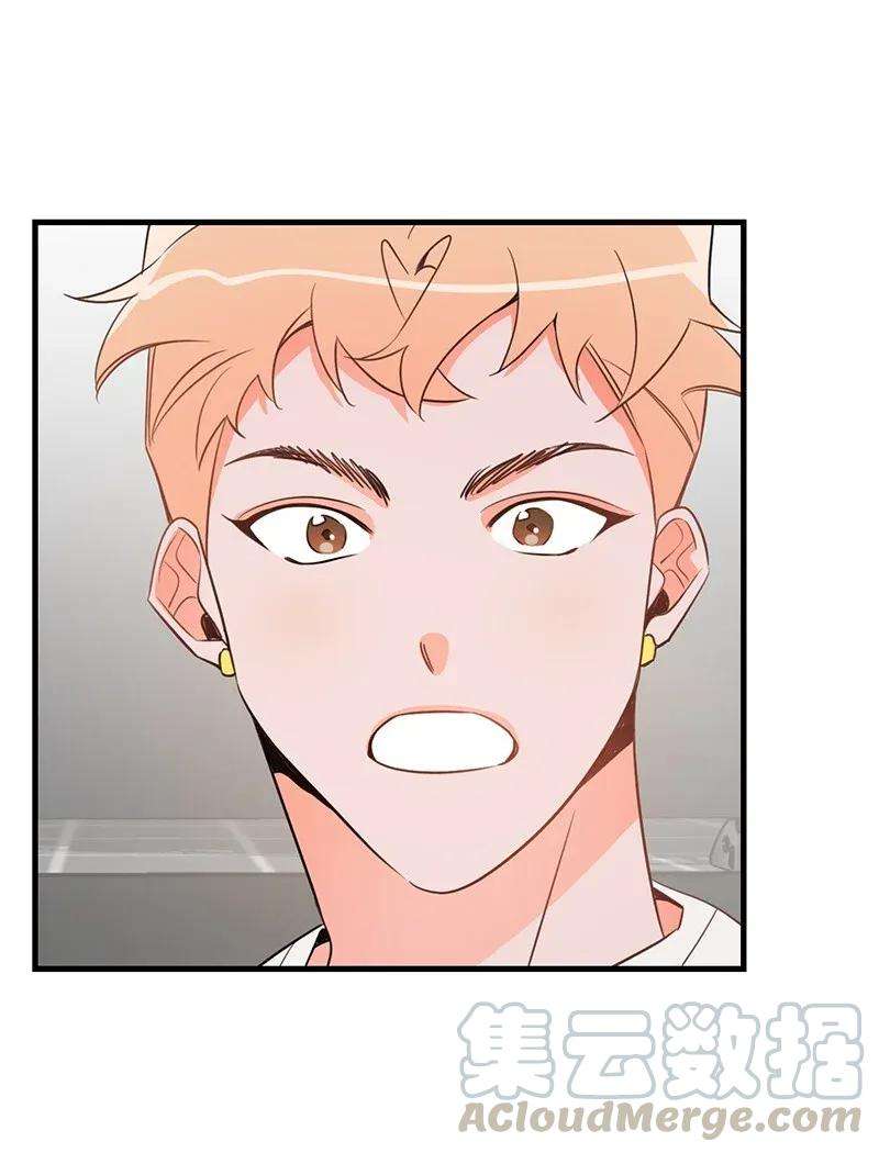 我的人气肯定出现了问题13 苏凡