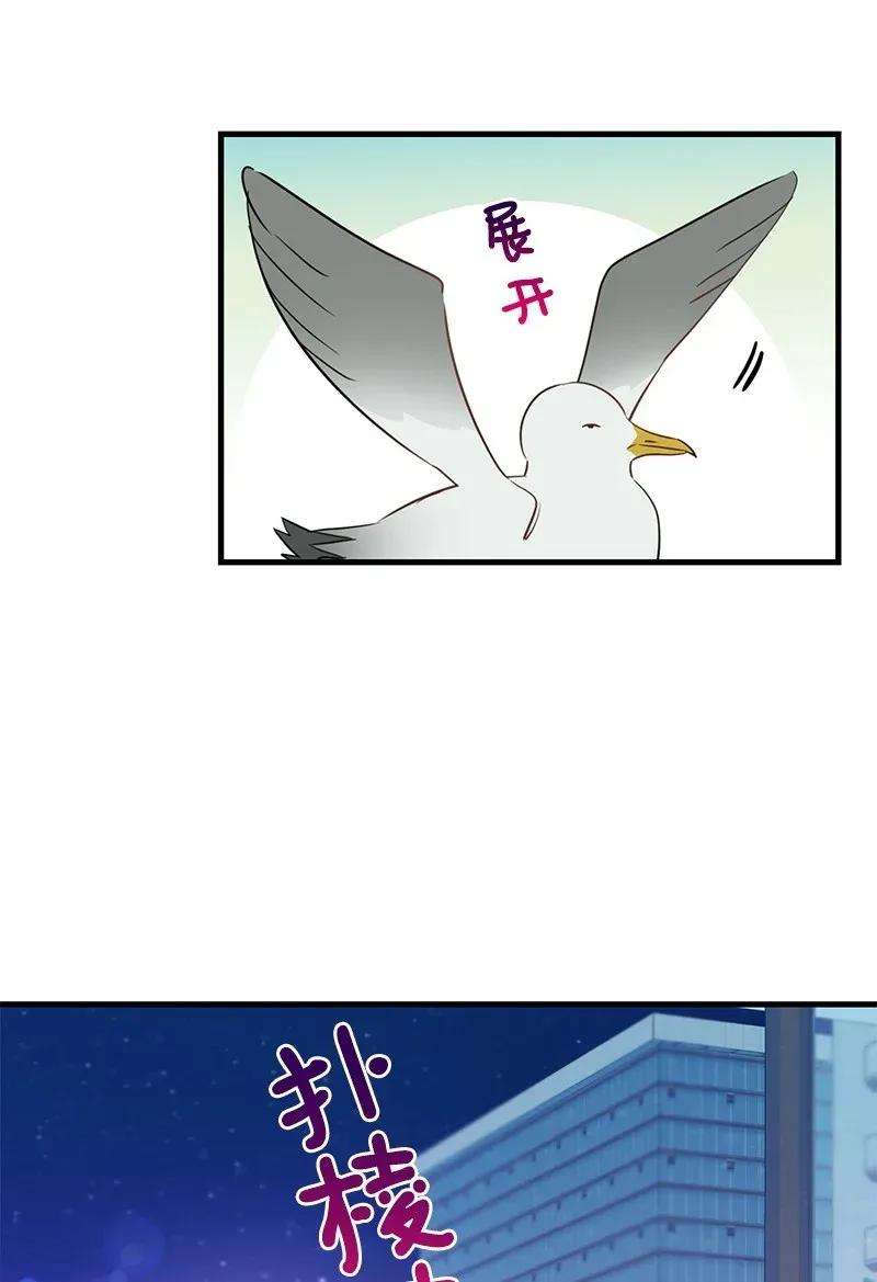 我的人气肯定出现了问题24 其实我一直在努力