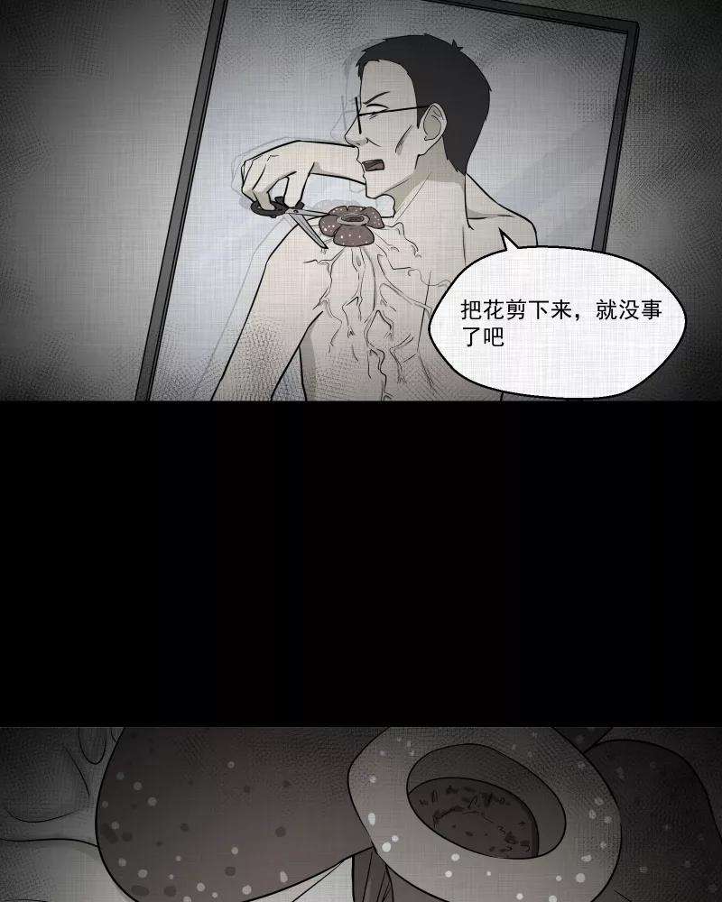 宿运街18号74话 灵魂种子（四）