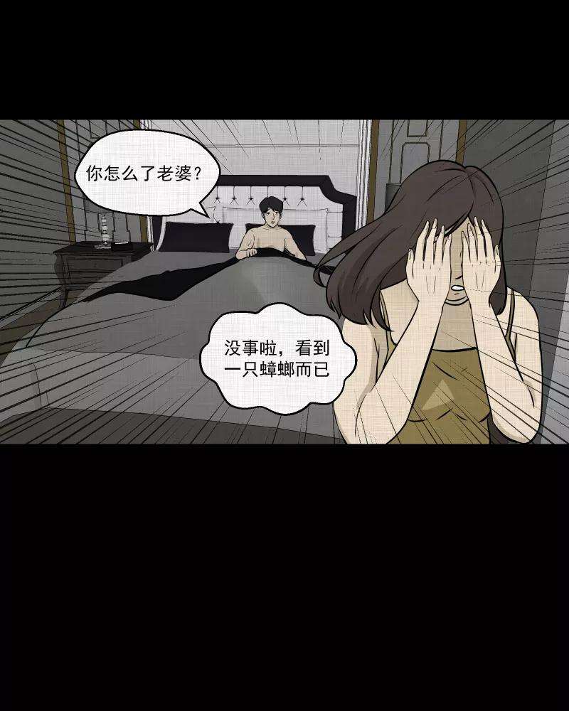 宿运街18号104话 女神茶（一）