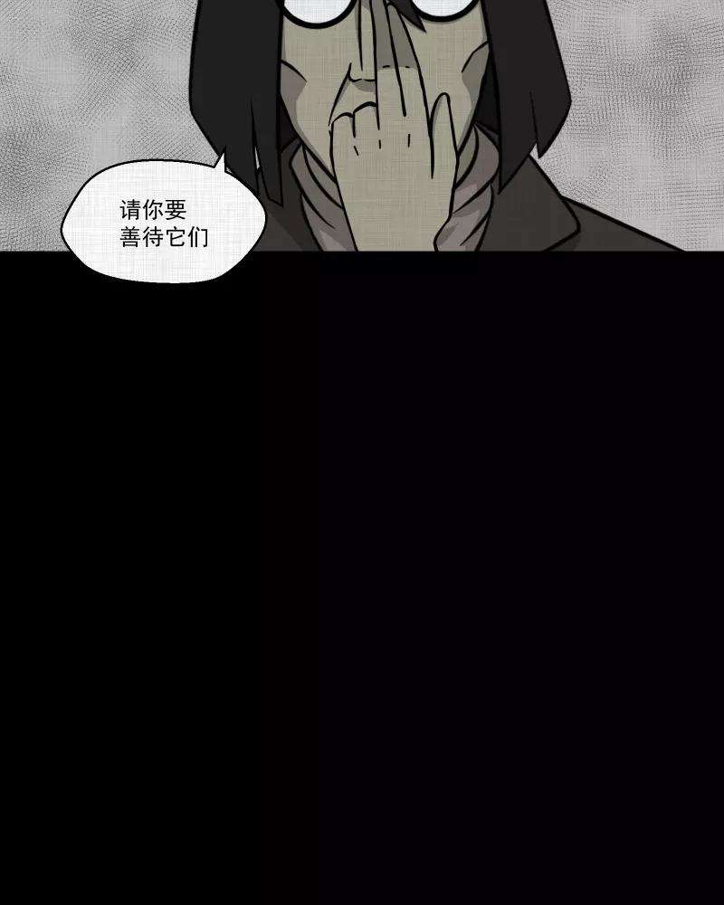 宿运街18号144话 鸟（二）