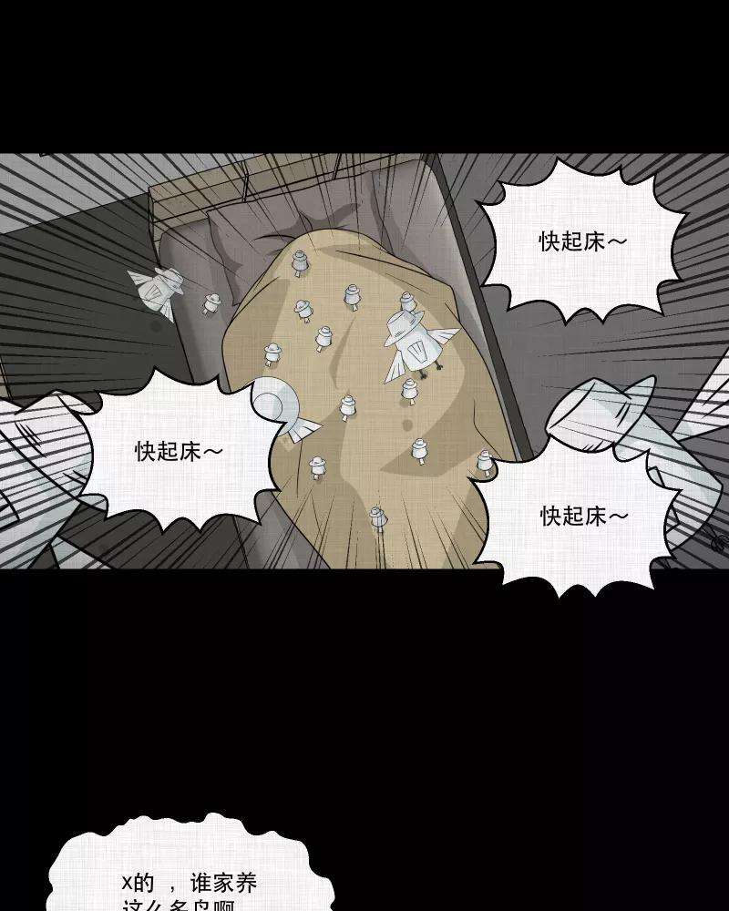 宿运街18号144话 鸟（二）