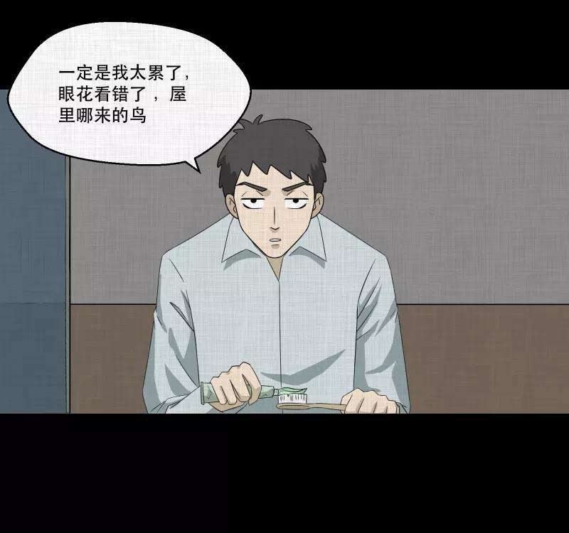 宿运街18号144话 鸟（二）