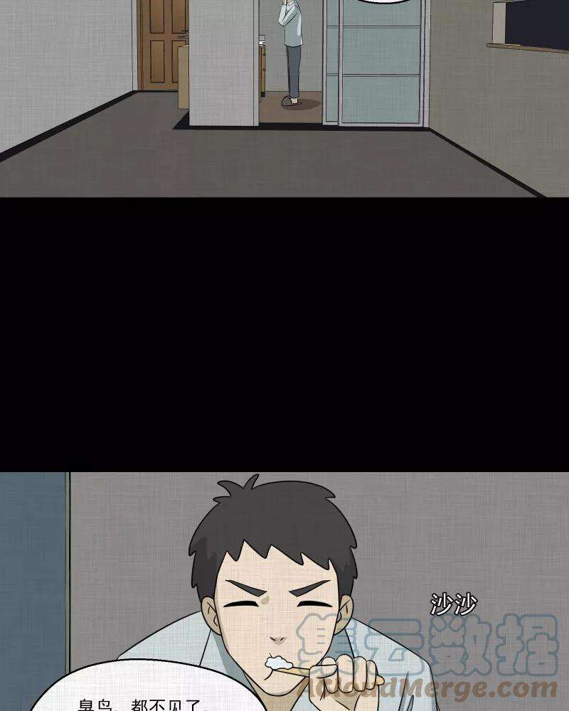 宿运街18号145话 鸟（三）