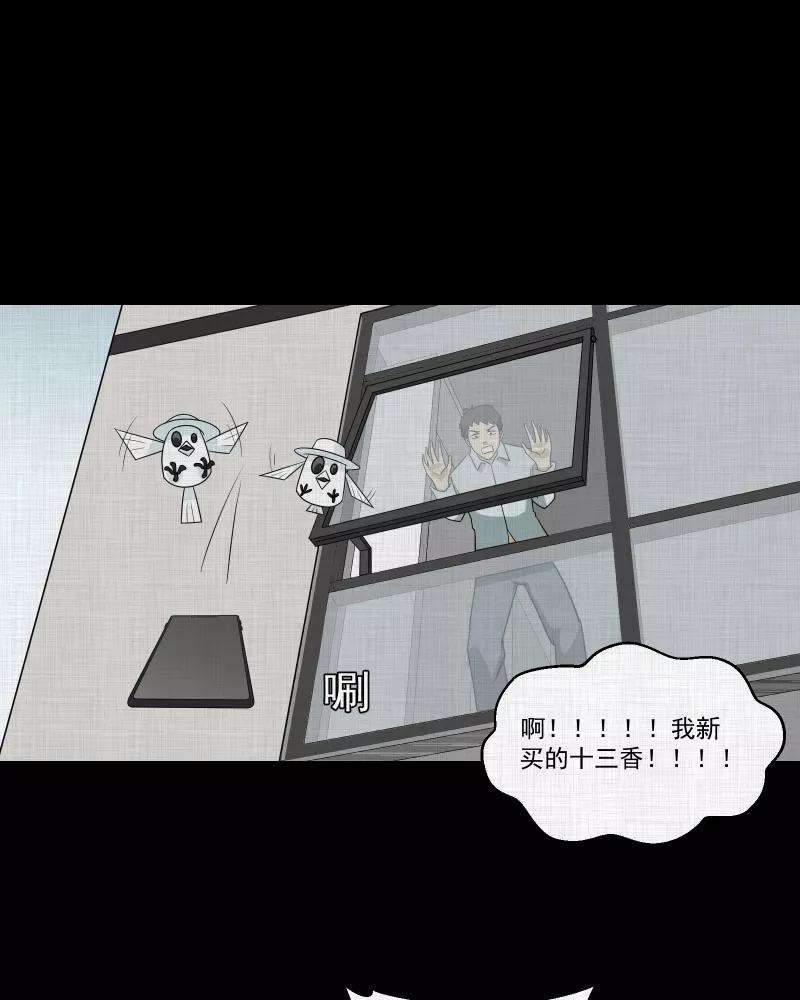 宿运街18号145话 鸟（三）