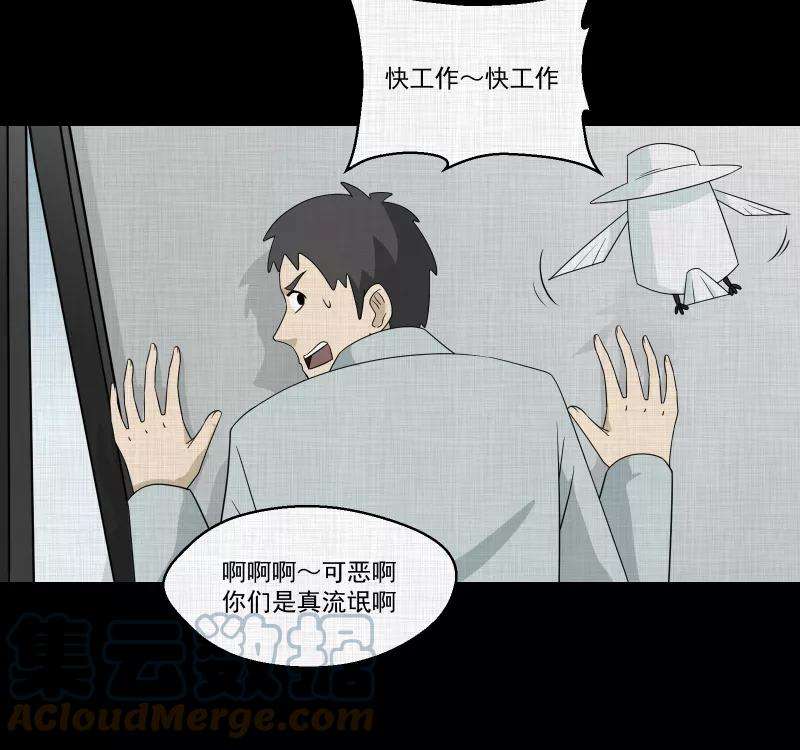 宿运街18号145话 鸟（三）