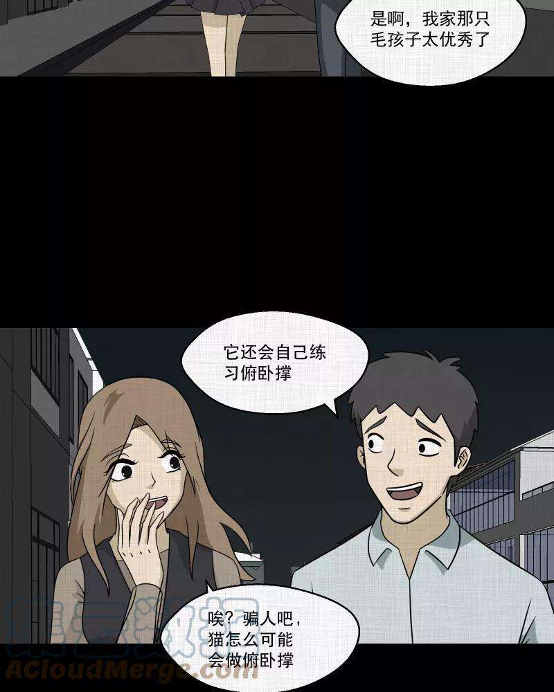 宿运街18号146话 鸟（四）