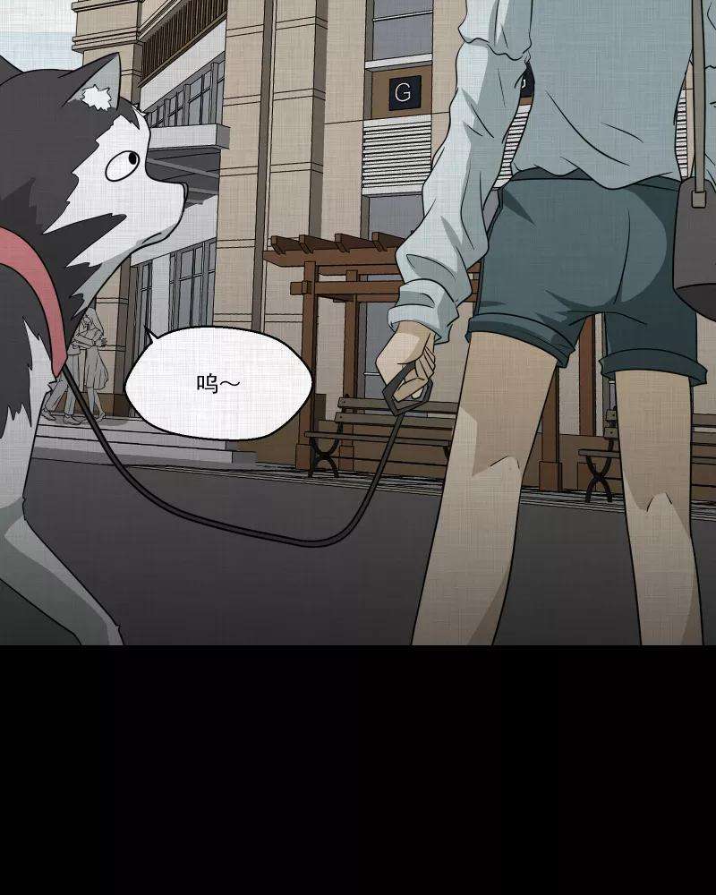 宿运街18号148话 项圈（二）