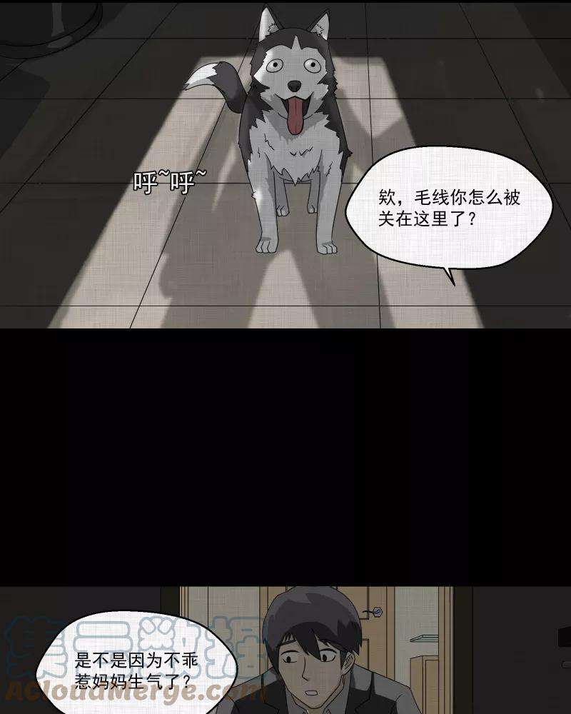 宿运街18号148话 项圈（二）