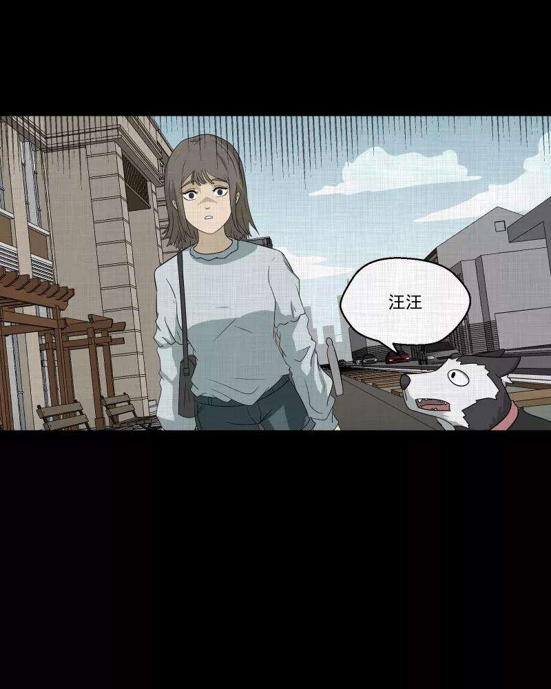 宿运街18号148话 项圈（二）