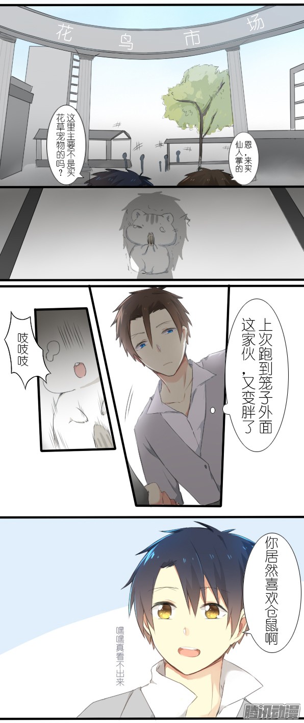 百慕大11