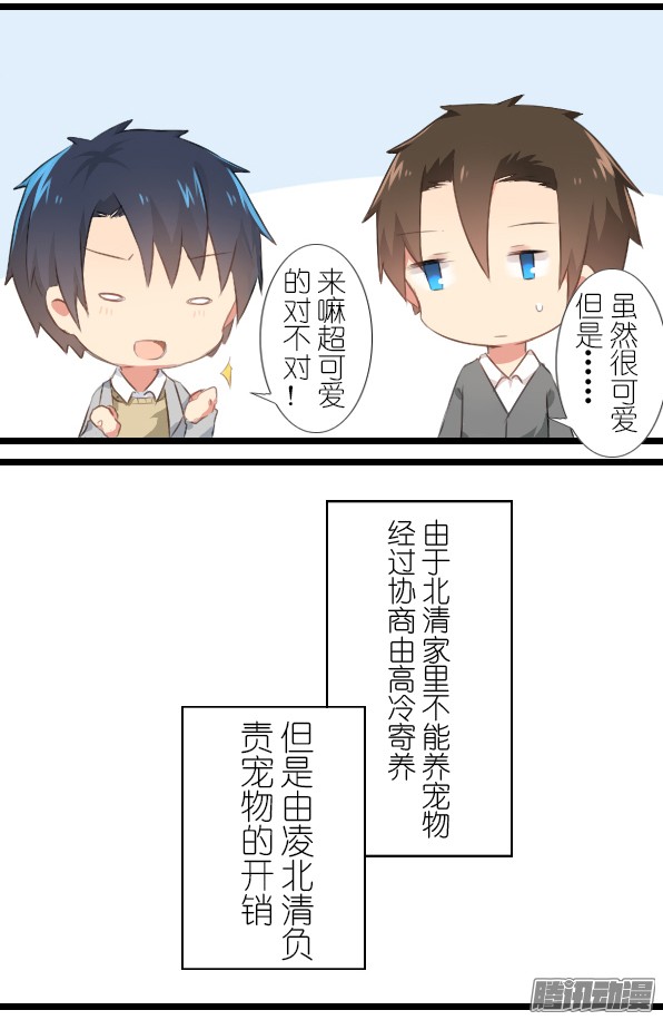 百慕大11
