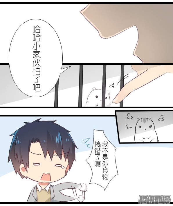 百慕大11