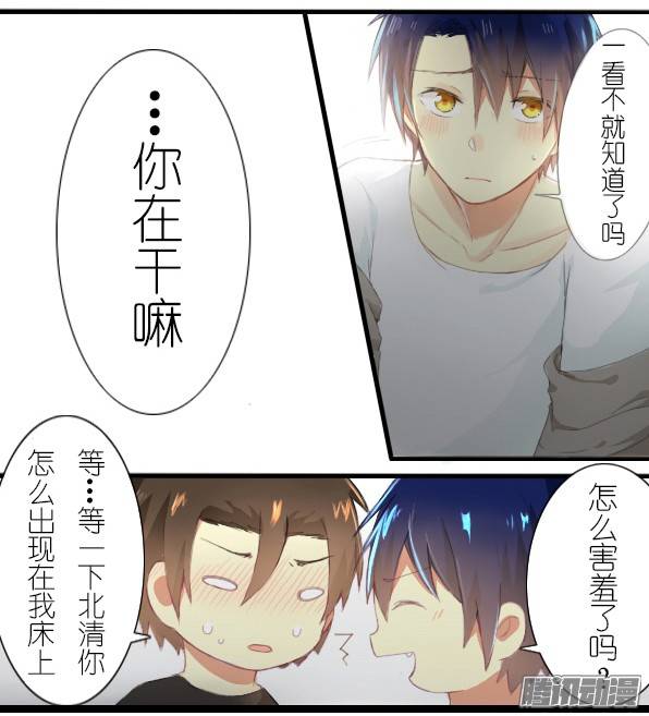百慕大19
