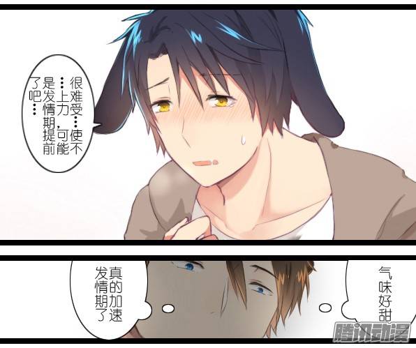 百慕大番外：熊与兔