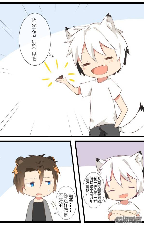 百慕大番外：熊与兔