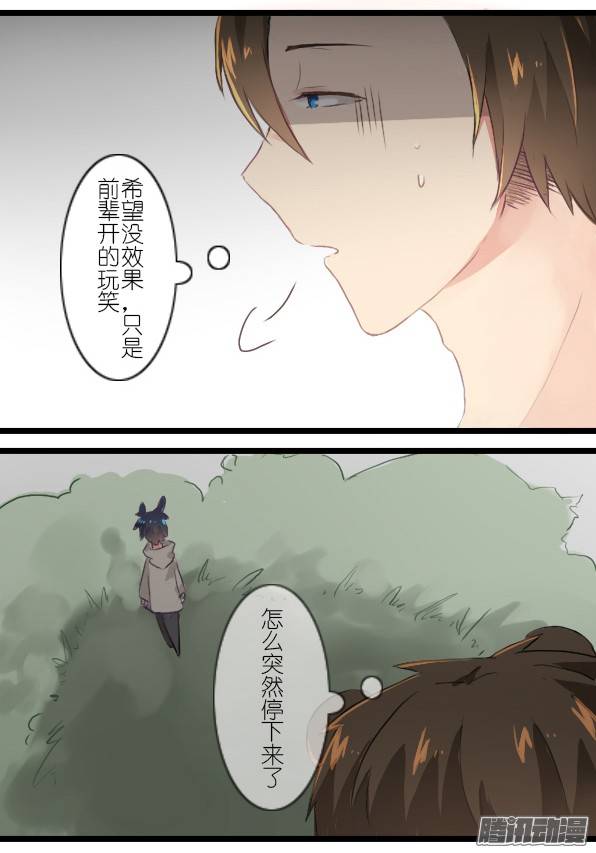 百慕大番外：熊与兔