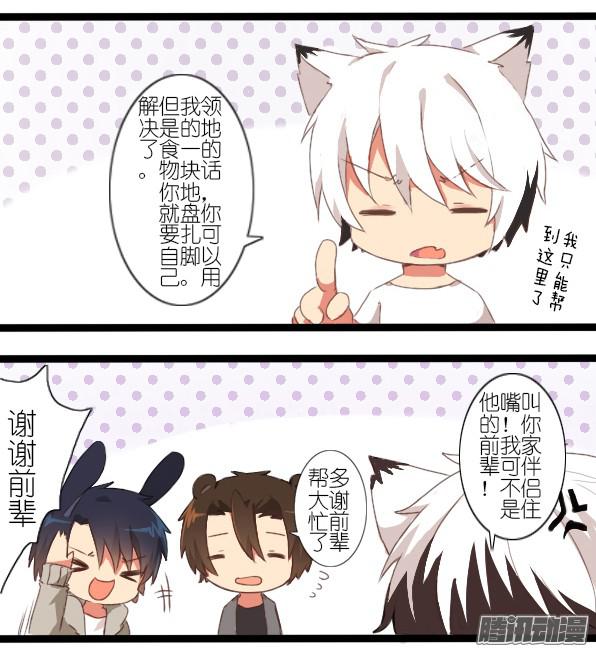 百慕大番外：熊先生与伴侣