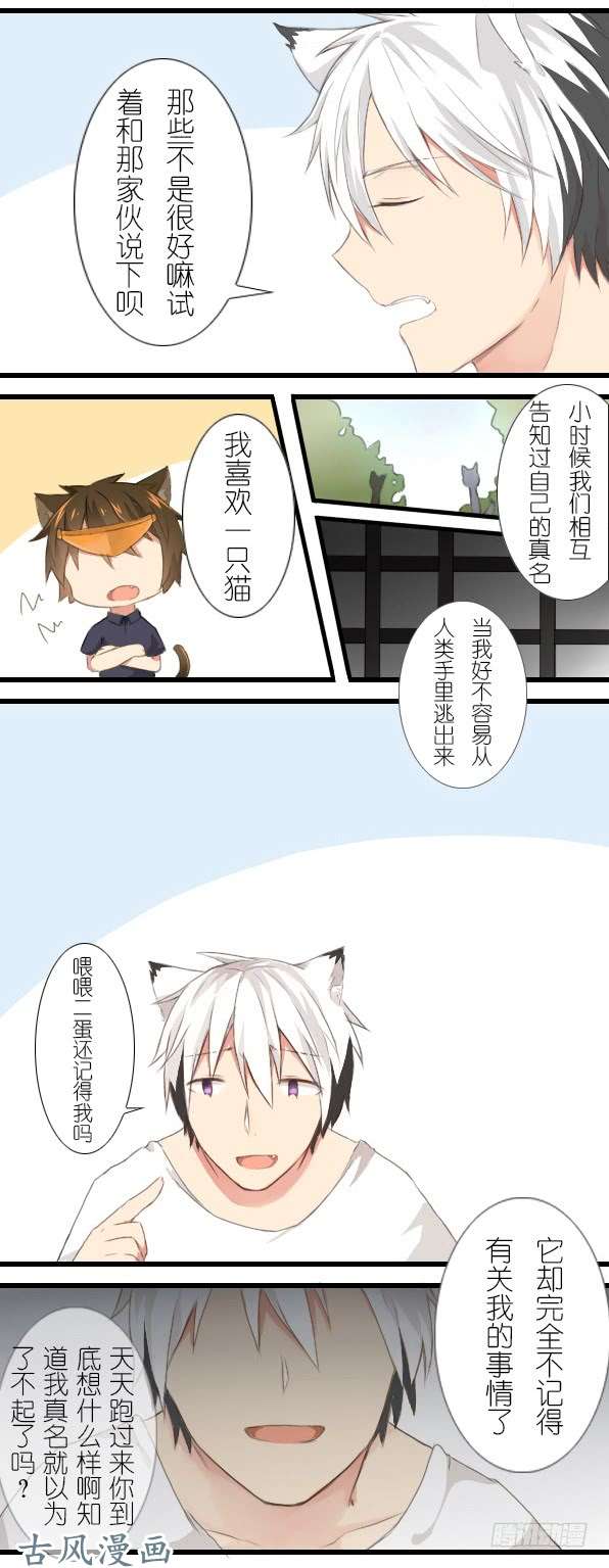 百慕大番外：熊兔（2）