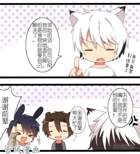 百慕大番外：熊兔（7）