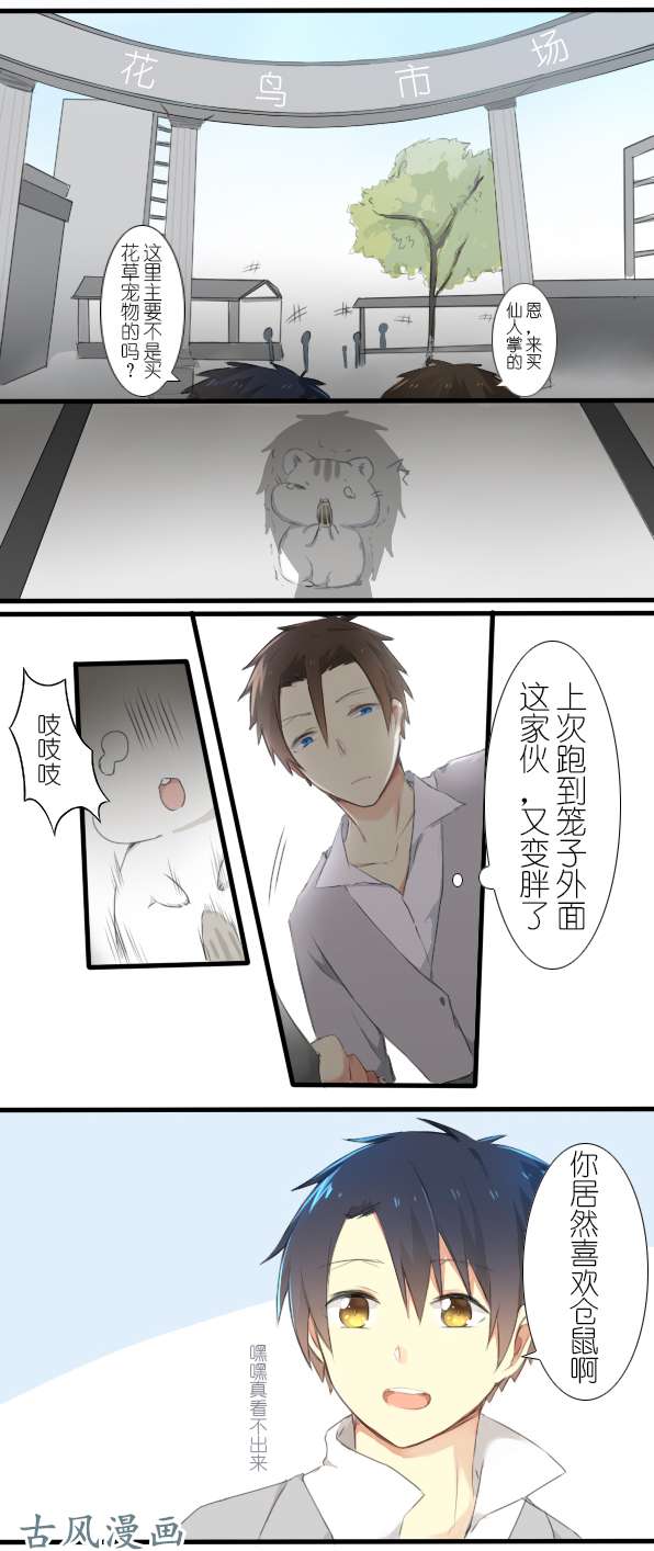百慕大11 来养仓鼠吧