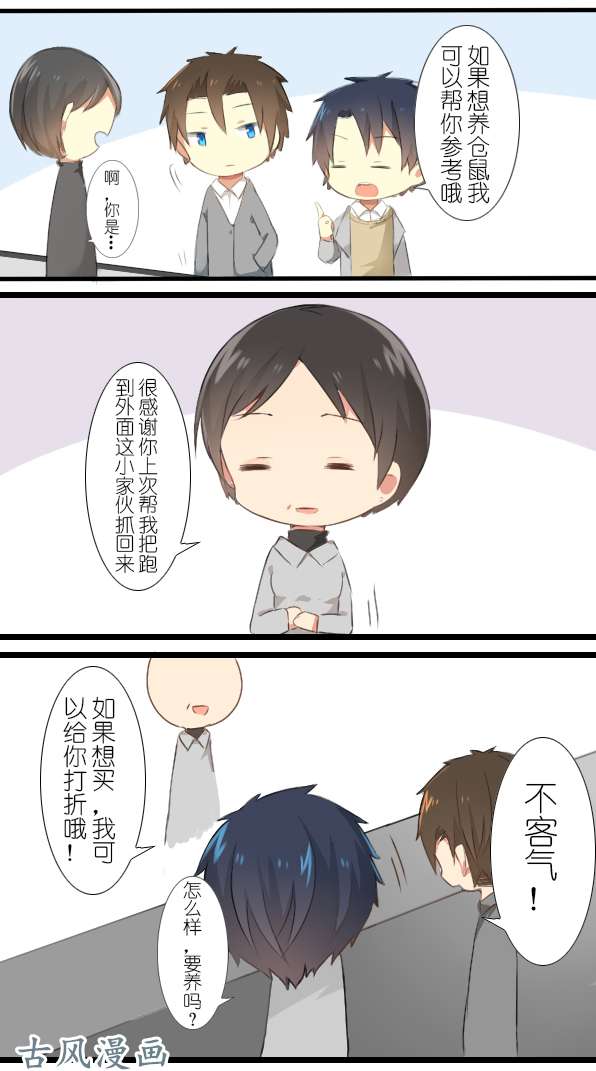 百慕大11 来养仓鼠吧