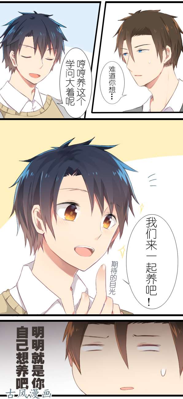百慕大11 来养仓鼠吧